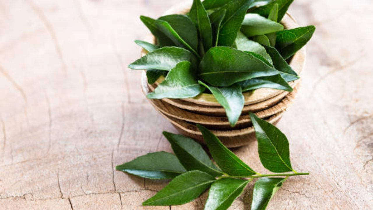 केसांच्या मजबूत वाढीसाठी खोबरेल तेलात 'हे' पदार्थ मिक्स करा