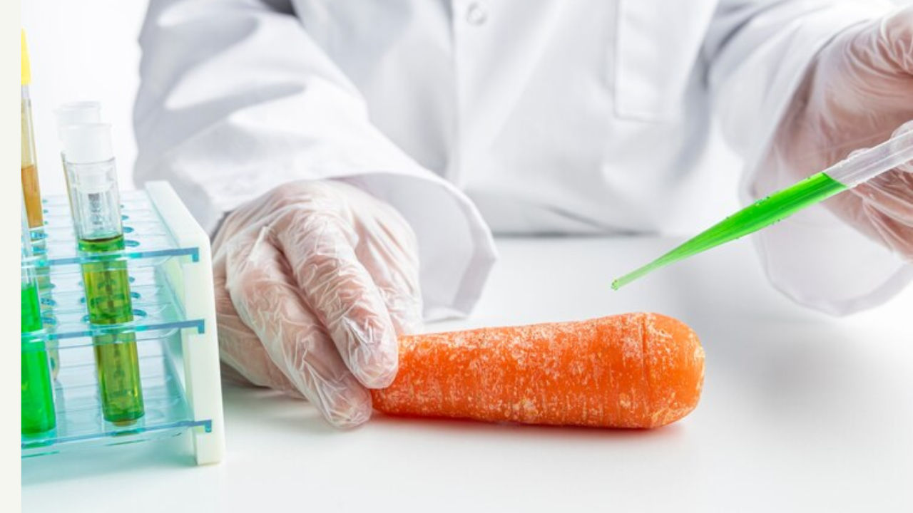 राज्यात लवकरच पाच फिरत्या अन्न तपासणी प्रयोगशाळा