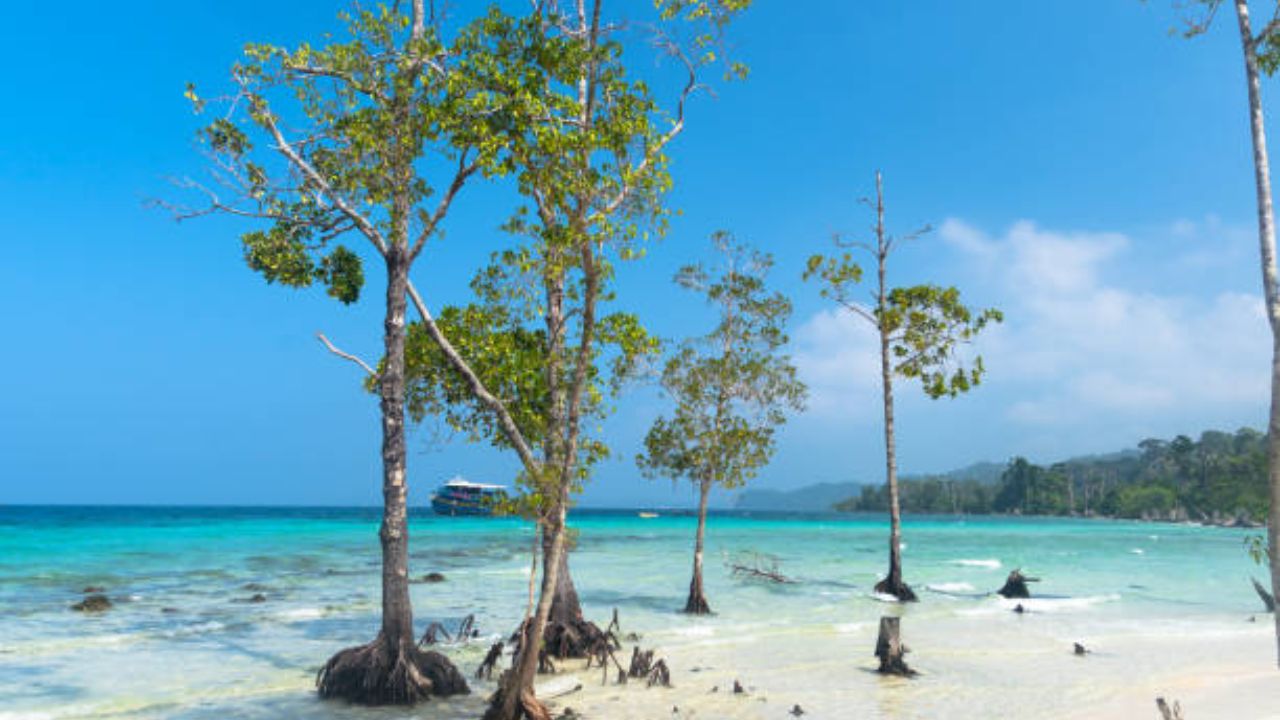 मित्रांसोबत सहलीचा प्लॅन करताय; भारतातील ‘या’ ठिकाणांना भेट दिल्यानंतर शिमला मनालीलाही विसराल