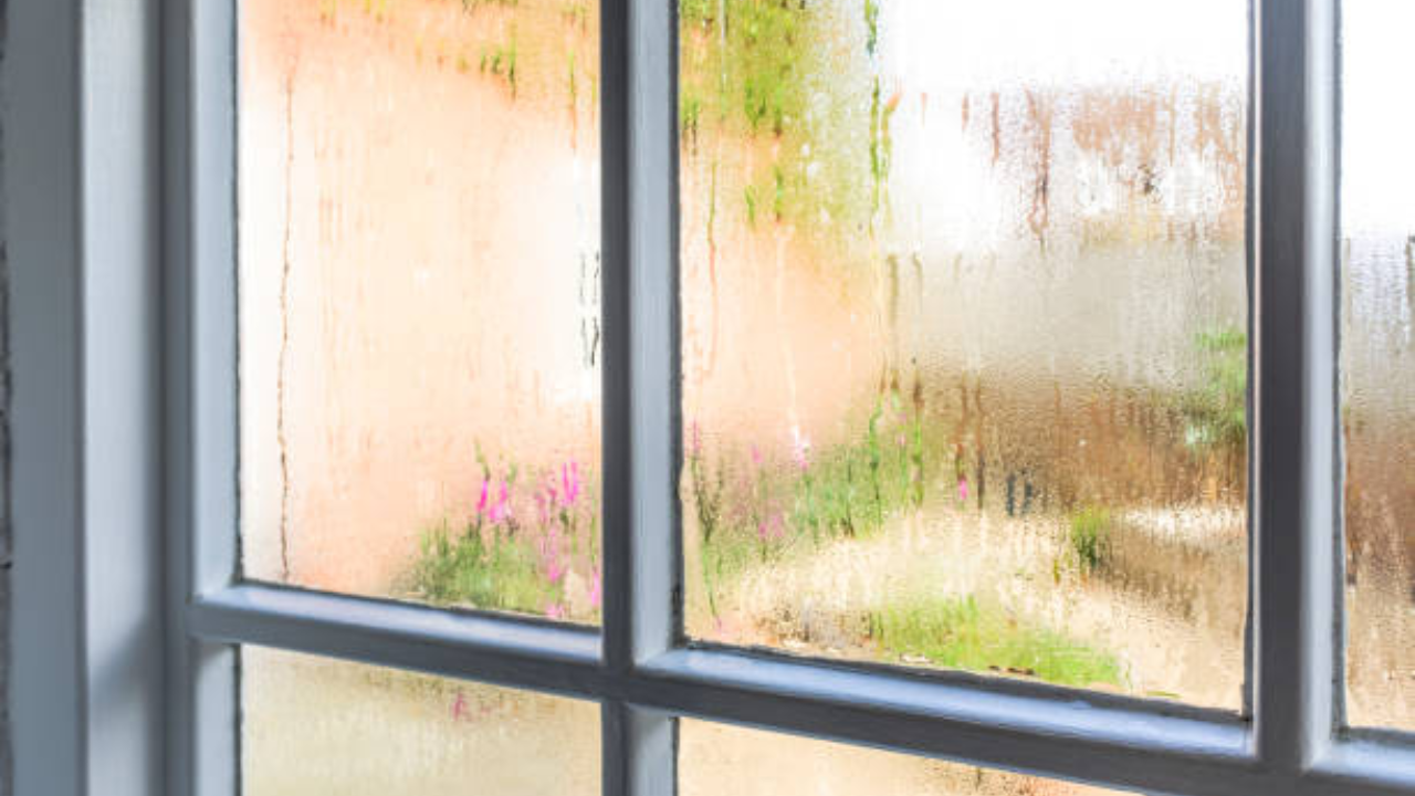 आर्द्रता टाळण्यासाठी लोक एसी आणि पंखे वापरतात. पण त्याचा फारसा परिणाम होत नाही. आर्द्रतेचा परिणाम फर्निचरवर देखील होतो. ओलाव्यामुळे फर्निचर खराब होण्याची शक्यता असते. पण आता असे काही स्मार्ट गॅजेट्स उपलब्ध आहेत, ज्याचा वापर करून तुम्ही अगदी सहज ही समस्या टाळू शकता. 