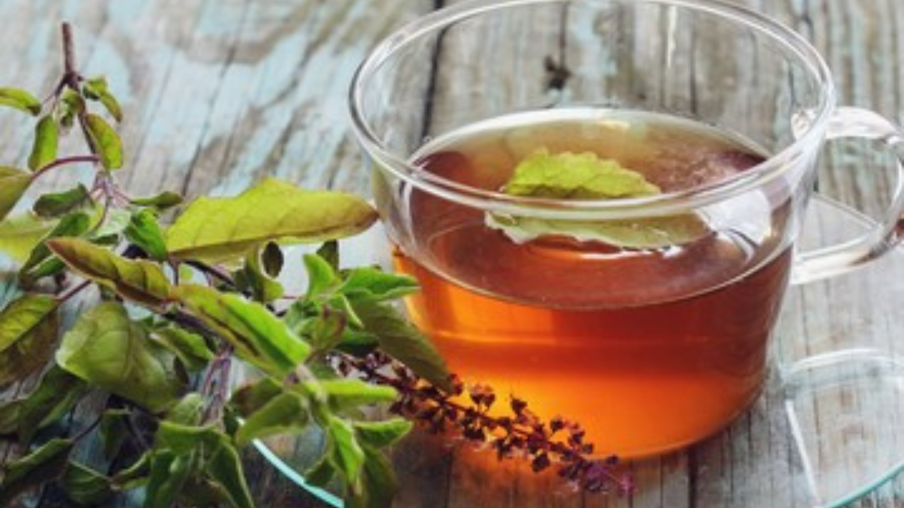 तुळस आहे बेस्ट इम्युनिटी बुस्टर