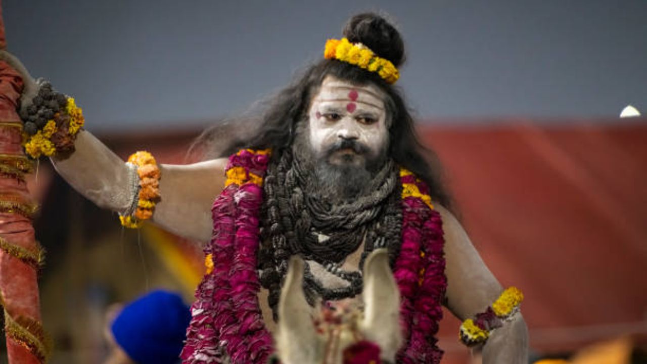 याशिवाय नागा साधूंना निषिद्ध ठिकाणी प्रवेश करणे किंवा यजमानाशी गैरवर्तन करणे यासाठीही शिक्षा दिली जाते. 