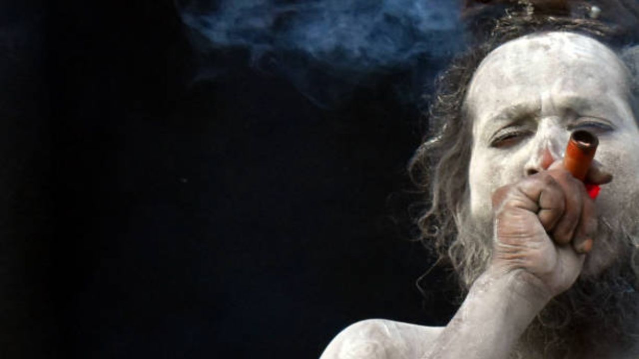 जर त्यांनी कोणत्याही मंदिरात चोरी केली किंवा काही अपवित्र कार्य केले तर त्यांना शिक्षा होते. 