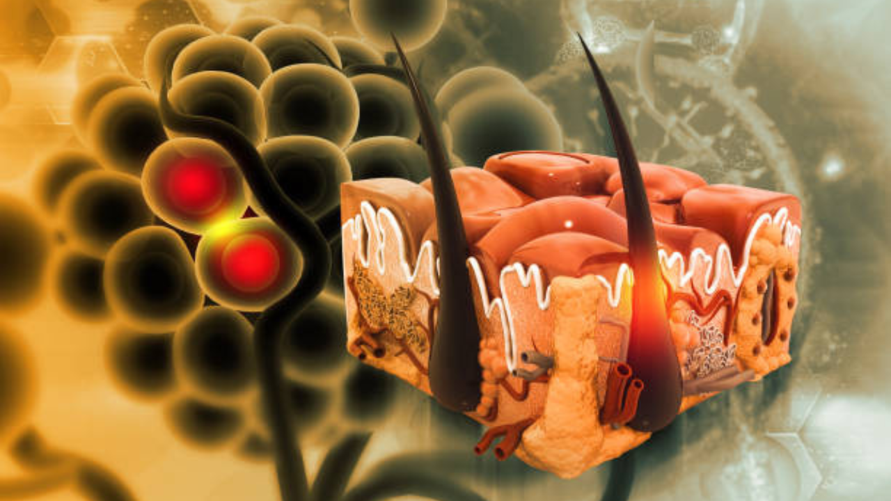 काय करणे टाळावे आणि कशा पद्धतीने काळजी घ्यावी