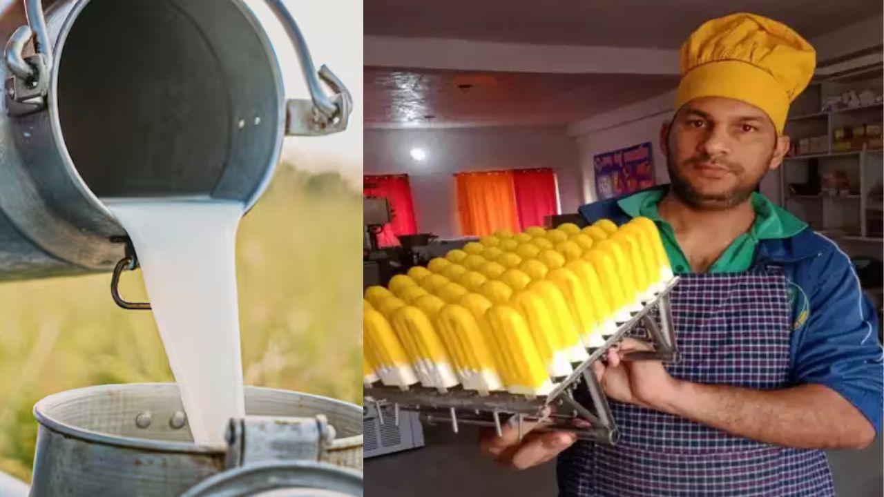 नोकरीला रामराम ठोकला, दुग्ध व्यवसायात उतरला; करतोय वर्षाला 2 कोटींचा टर्नओव्हर!