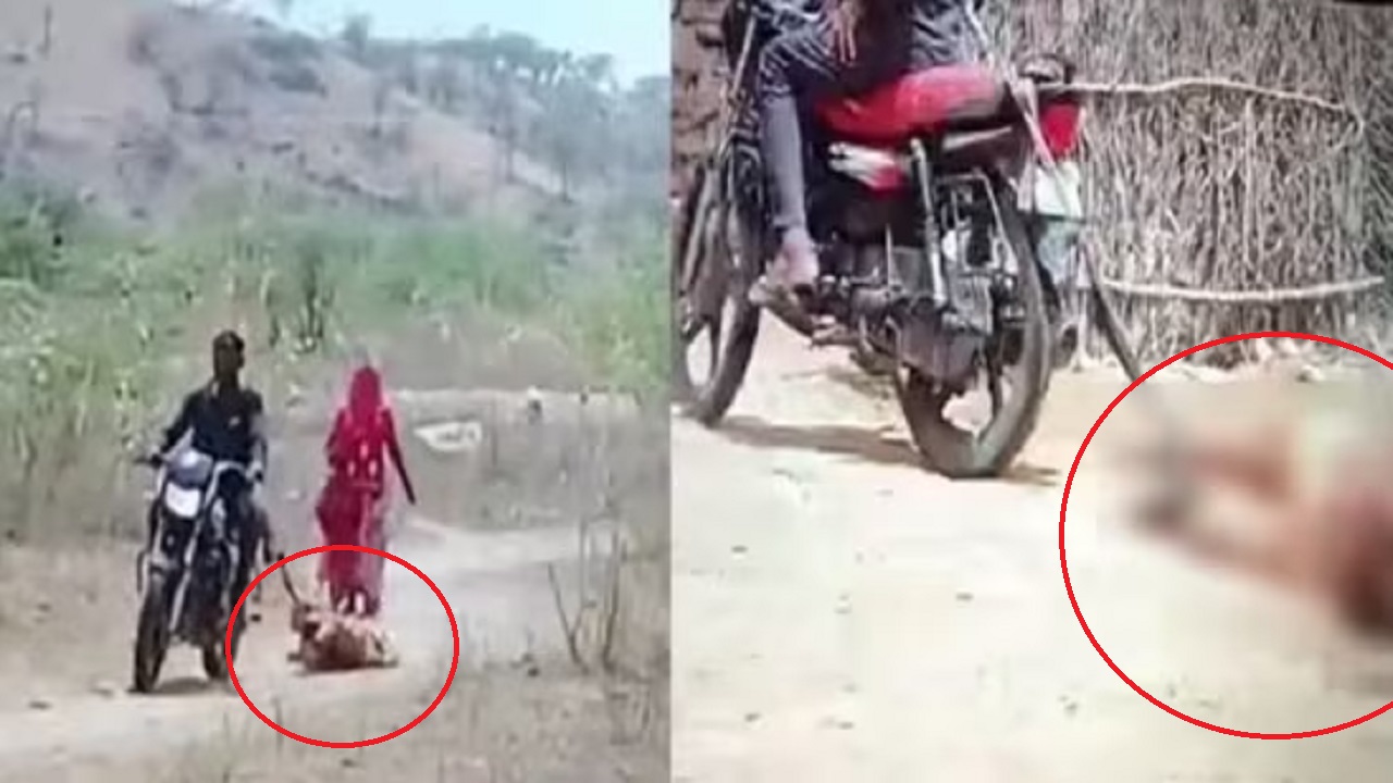 पती आहे की हैवान ? पत्नीला बाईकला बांधून फरफटत नेले, पत्नी ओरडत राहिली पण…, कारण ऐकून तुम्हालाही बसेल धक्का