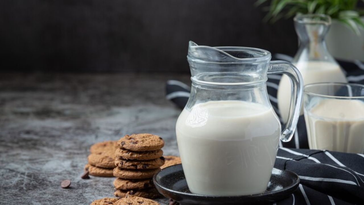 उंटाचे दूध आरोग्यासाठी आहे खूपच उपयुक्त