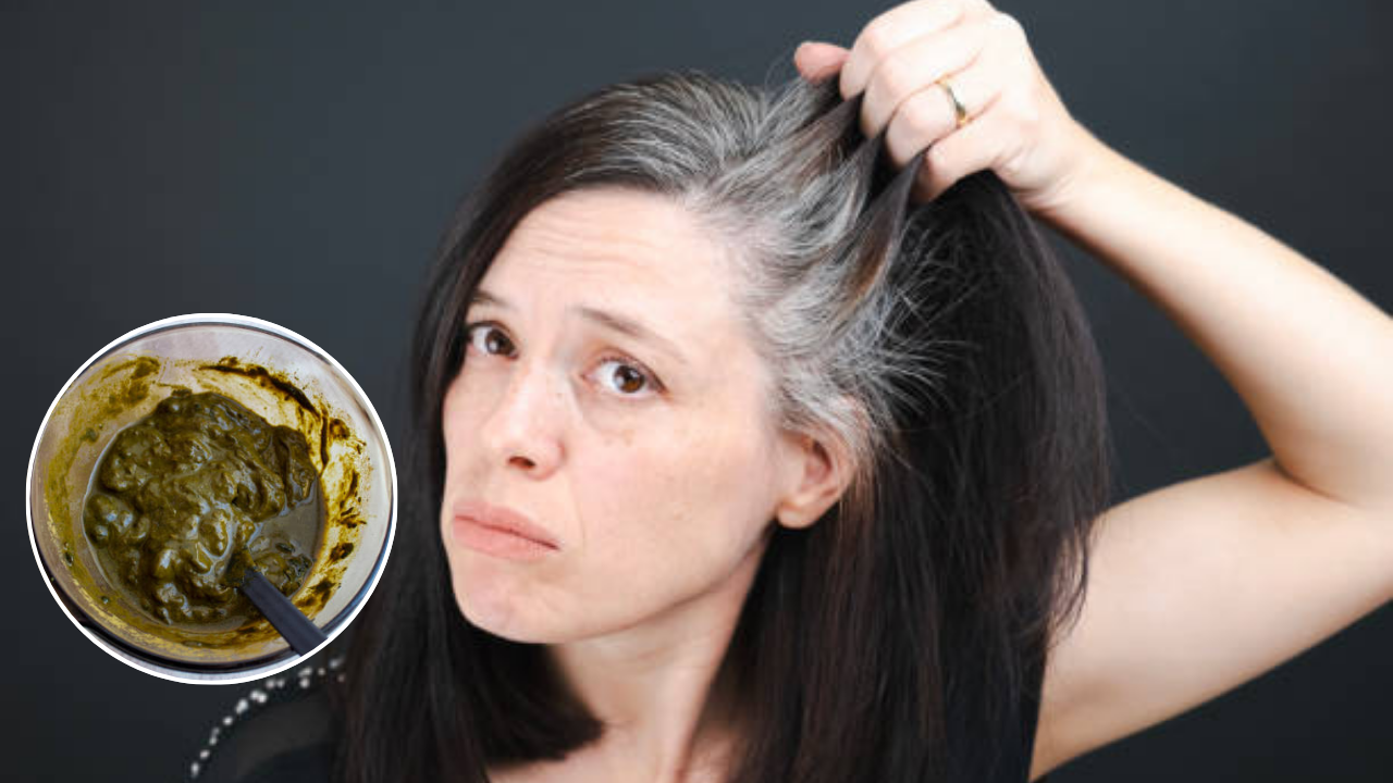 पांढरे केस काळे करण्यासाठी मेहंदीमध्ये मिक्स करा 'या' 2 गोष्टी,