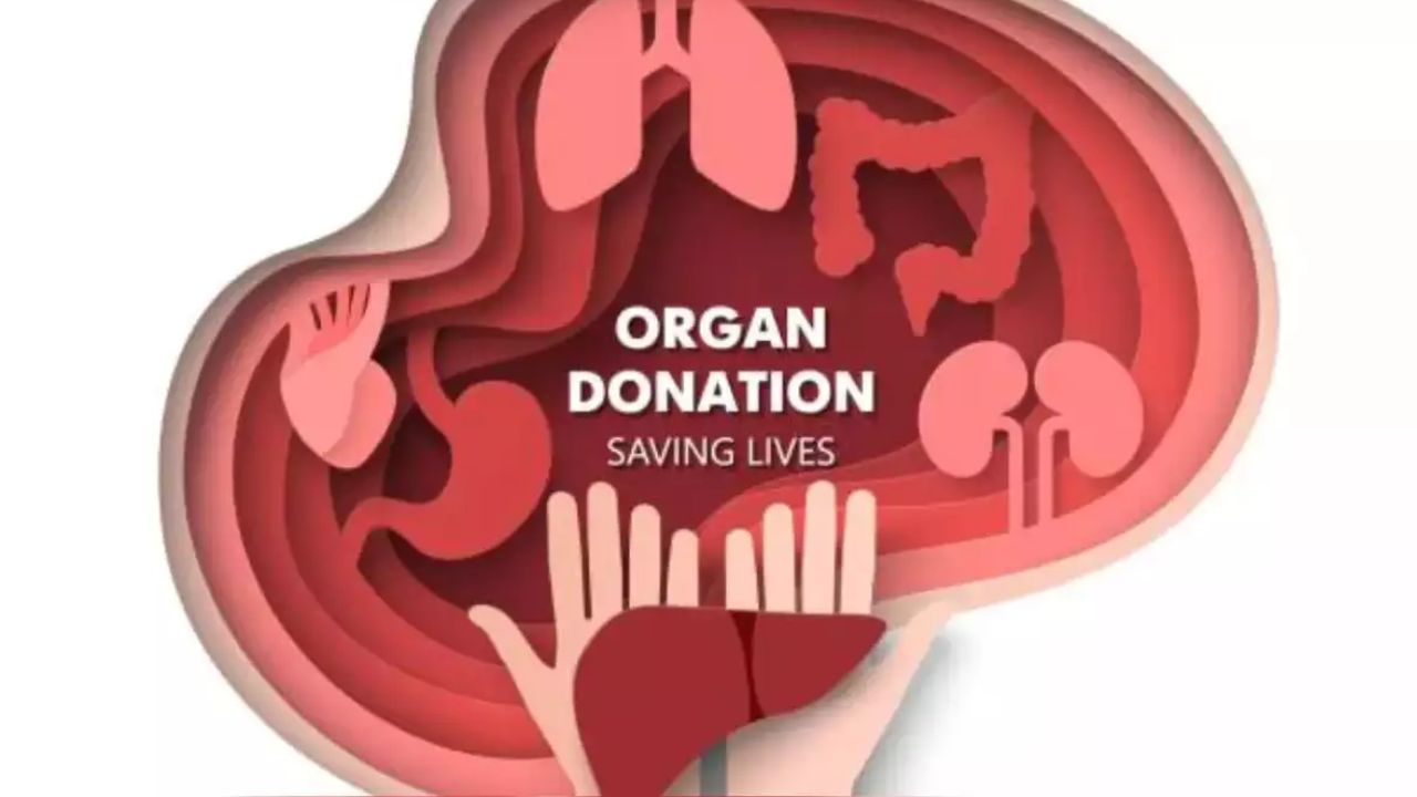 फक्त भारतात 'इतके' लोक अवयव दान करतात, जाणून घ्या परदेशात किती
