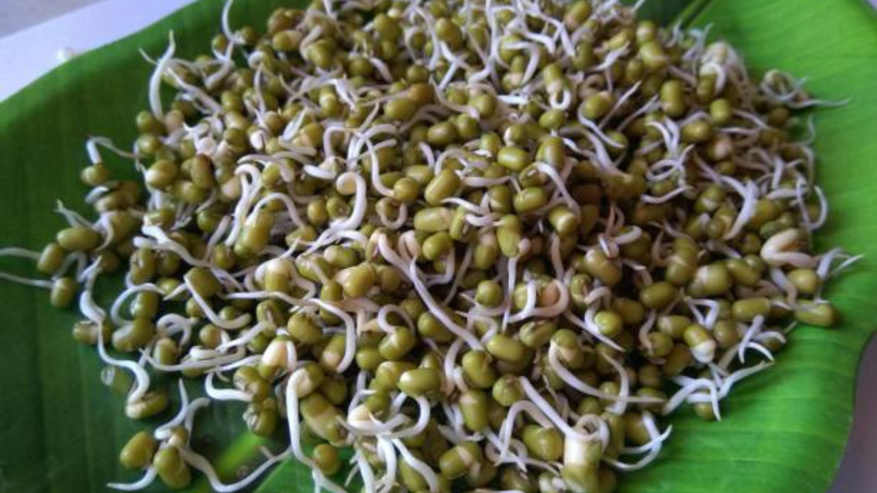 मुगातून मिळतात उत्तम प्रोटीन