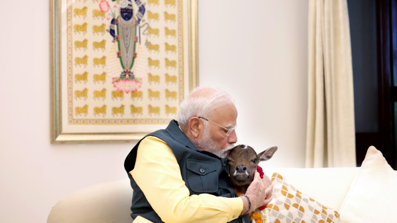 पंतप्रधान नरेंद्र मोदी यांनी त्यांच्या X हँडलवर एक व्हिडिओ पोस्ट केला आहे आणि काही वेळातच हा व्हिडिओ व्हायरल झाला. व्हिडिओमध्ये पंतप्रधान त्यांच्या निवासस्थानी एका गायीने वासराला जन्म दिला आहे, असे पंतप्रधानांनी सांगितले की त्यांनी या वासराचे नाव 'दीपज्योती' ठेवले आहे.