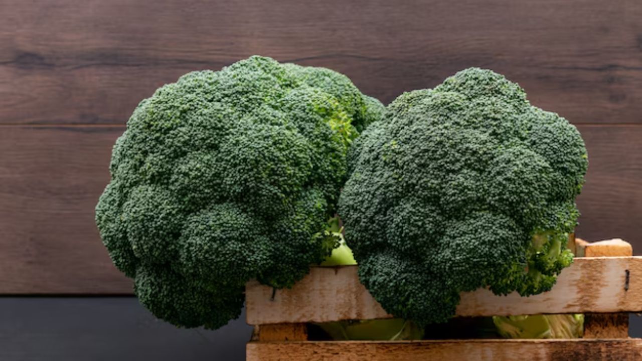 ब्रोकोली हा व्हिटॅमिन के चा आणखी एक चांगला स्रोत आहे. या भाजीमध्ये केवळ व्हिटॅमिन केच नाही तर त्यात फायबर, व्हिटॅमिन सी आणि अनेक अँटीऑक्सिडंट्स देखील असतात जे शरीर निरोगी ठेवतात. एका कप शिजवलेल्या ब्रोकोलीमधून तुम्ही तुमच्या रोजच्या व्हिटॅमिन K ची गरज 90% पर्यंत मिळवू शकता.