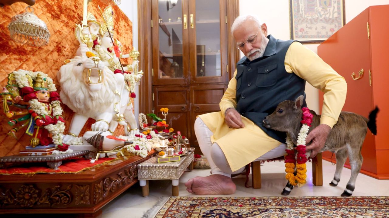 , 'आपल्या धर्मग्रंथात म्हटले आहे - 'गाव: सर्वसुख प्रदा'. लोककल्याण मार्गावर असलेल्या पंतप्रधानांच्या निवासस्थानी कुटुंबात नवीन सदस्याचे शुभ आगमन झाले आहे. पंतप्रधानांच्या निवासस्थानी प्रिय माता गायीने नवीन वासराला जन्म दिला असून त्याच्या कपाळावर प्रकाशाचे प्रतीक आहे. मी त्याचे नाव 'दीपज्योती' ठेवले आहे.  अशी माहिती नरेंद्र मोदी यांनी स्वत: दिली. 