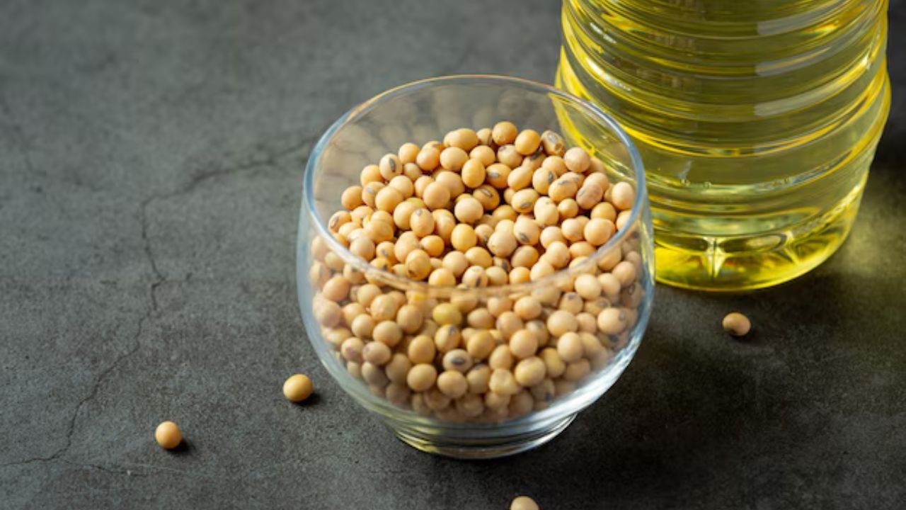 सोया ऑइल हे व्हिटॅमिन K2 चा चांगला स्रोत आहे, जे हाड आणि हृदयाच्या आरोग्यासाठी फायदेशीर असते. तुम्ही रोजच्या जेवणात हे तेल वापरू शकता. याशिवाय सोया ऑइलमध्ये अनेक अँटीऑक्सिडंट्स देखील असतात जे शरीरासाठी फायदेशीर असतात.