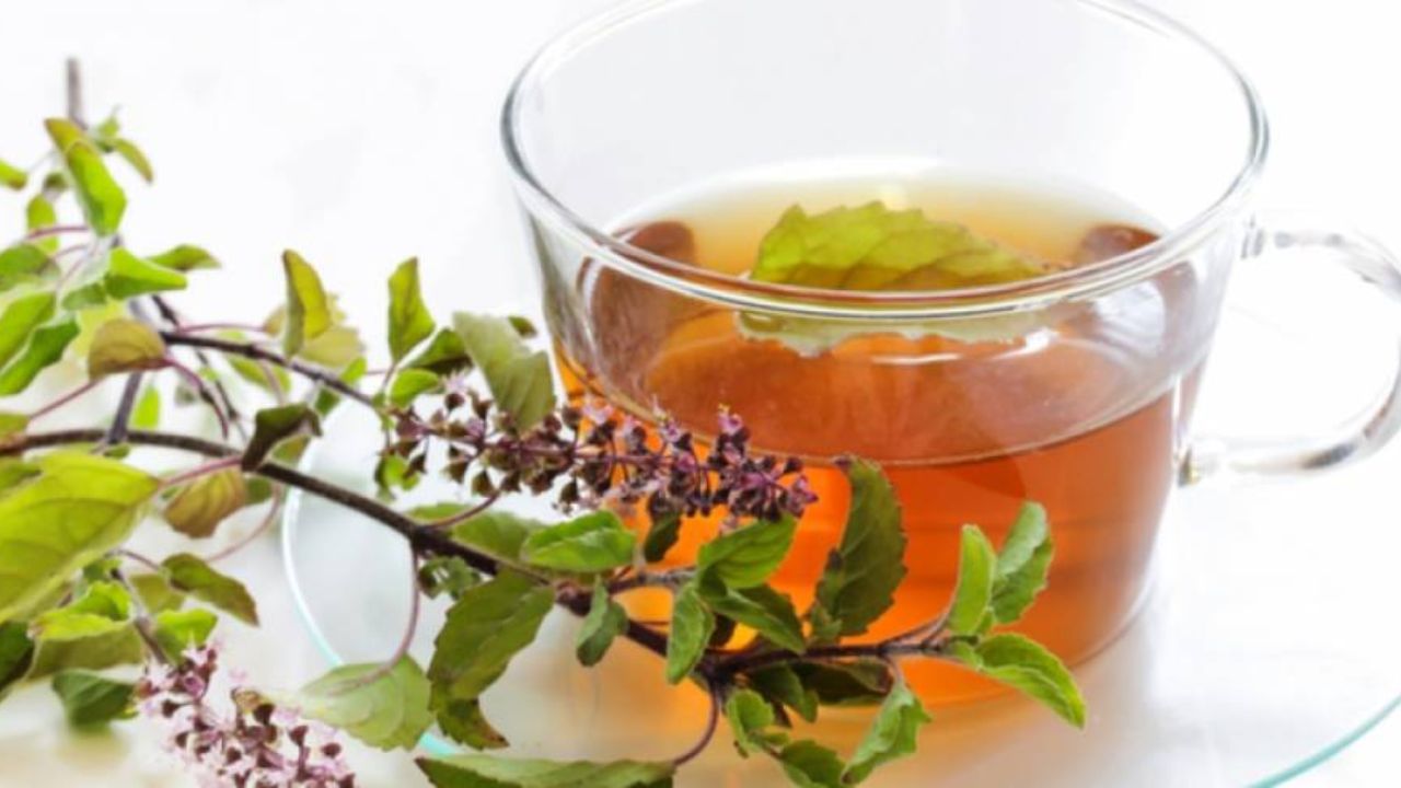 तुळशीचे सेवन सर्दी, खोकला, दमा आणि ब्राँकायटिस यांसारख्या श्वसनाच्या समस्यांपासून आराम मिळवून देण्यासाठी उपयुक्त आहे.