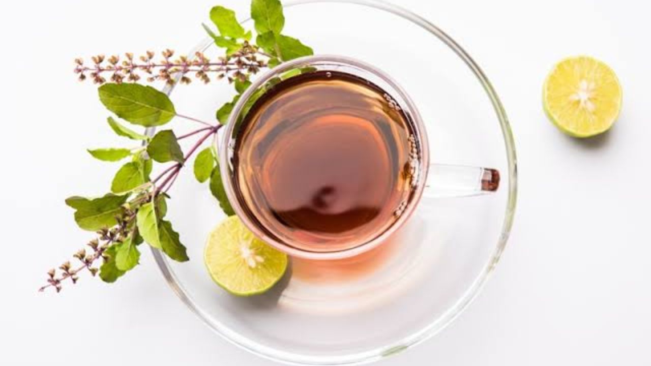 तुळशीचे सेवन पचनसंस्थेसाठी खूप फायदेशीर आहे. पोटातील गॅस, अपचन, ॲसिडिटी यासारख्या समस्या दूर होण्यास मदत होते.