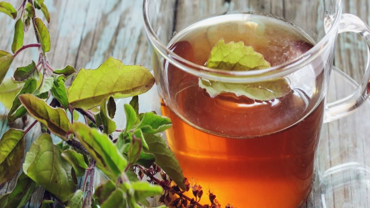 तुळशीचे सेवन त्वचा आणि केसांसाठीही फायदेशीर आहे. यामुळे त्वचा स्वच्छ आणि तरुण राहते