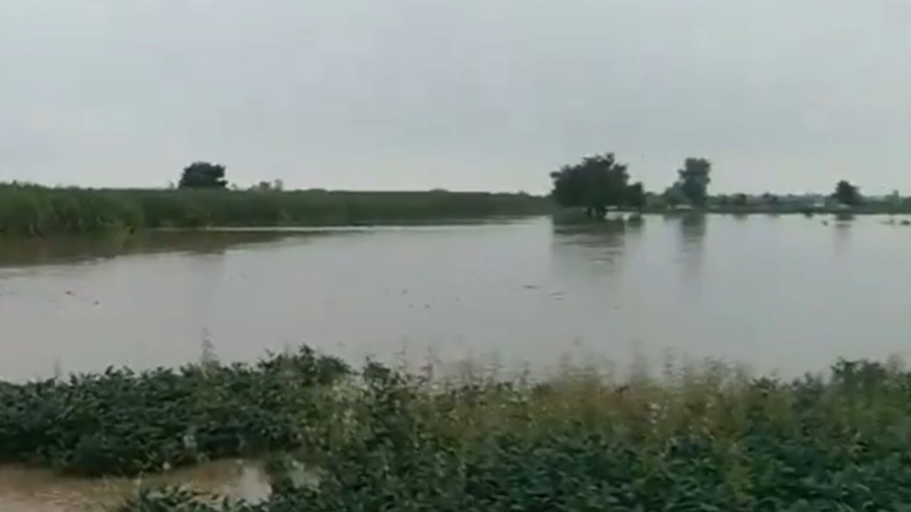 Skyfall In Nanded District Loss Of More Than Two Lakh Hectares