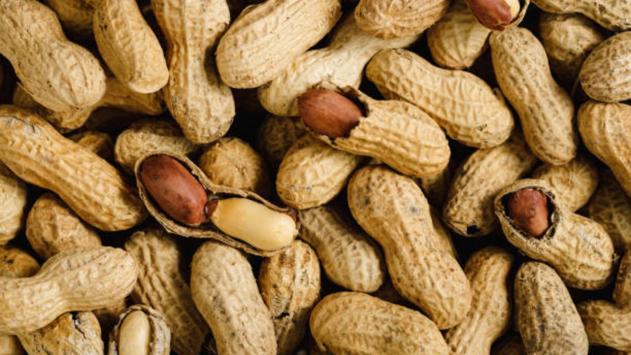 शेंगदाणे खाल्ल्याने आरोग्यावर होणारे दुष्परिणाम