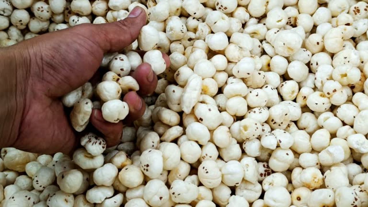 शरीरात वाढलेली रक्तदाबाची पातळी नियंत्रणात ठेवण्यासाठी आहारात मखाणाचे सेवन करावे. यामुळे रक्तदाबाची पातळी वाढत नाही. मखाणामध्ये  सोडियमचे प्रमाण कमी आणि पोटॅशियमचे प्रमाण जास्त असते.