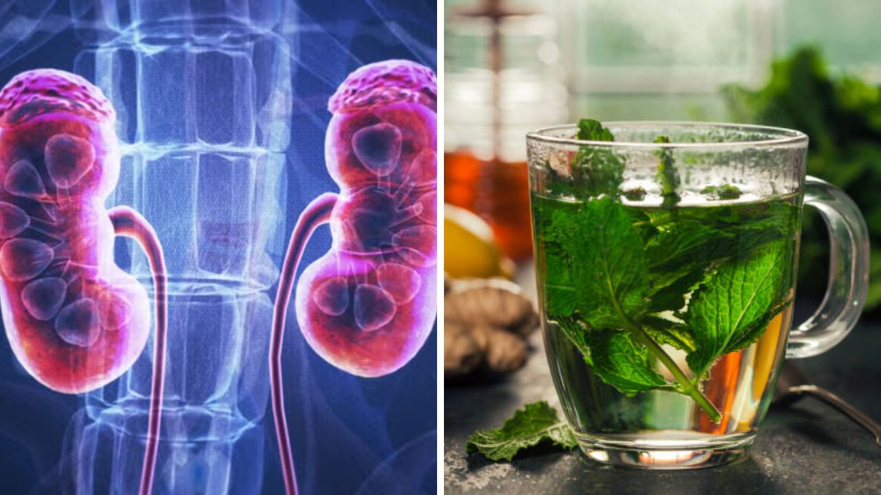  युरिक ॲसिडच्या समस्येपासून आराम मिळवण्यासाठी आहारात प्युरीन नसलेल्या पदर्थांचे सेवन करावे. अन्नपदार्थांमध्ये कमीत कमी प्रमाणात प्युरीन  असेल तर युरिक ॲसिडची समस्या उद्भवणार नाही. 