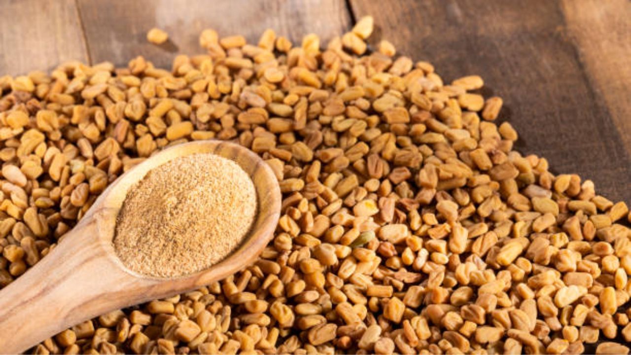 मेथीच्या दाण्यांमध्ये असलेल्या फायबरमुळे रक्तातील साखरेचे प्रमाण नियंत्रणात राहते. ग्लुकोजचे शोषण कमी प्रमाणात झाल्यामुळे रक्तातील साखरेचे प्रमाण वाढत नाही. 