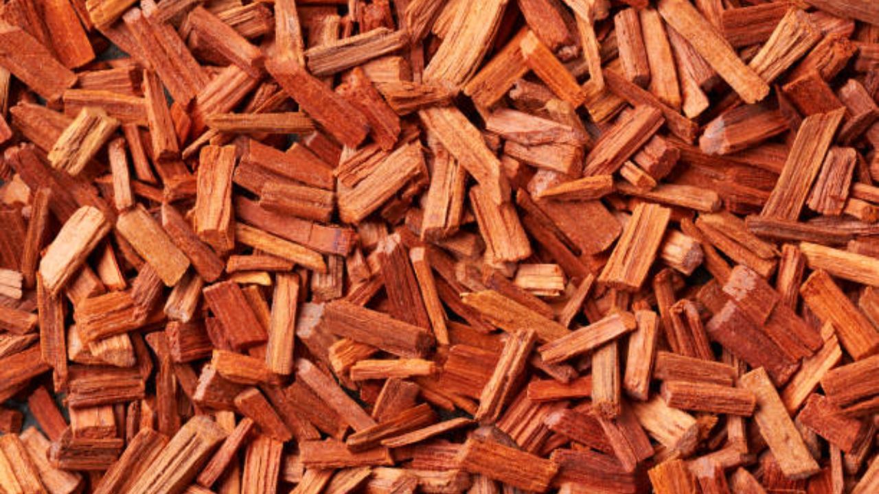 रक्त चंदनाचे गुणकारी फायदे