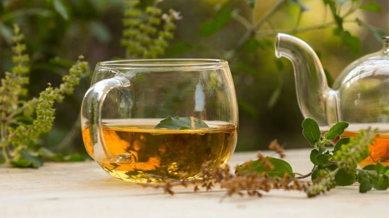 तुळशीचे नियमित सेवन केल्याने तुमची प्रतिकारशक्ती वाढण्यास मदत होते. यामध्ये असलेले अँटीऑक्सिडंट्स आणि अँटीबॅक्टेरियल गुणधर्म शरीराला संसर्गापासून वाचवतात.