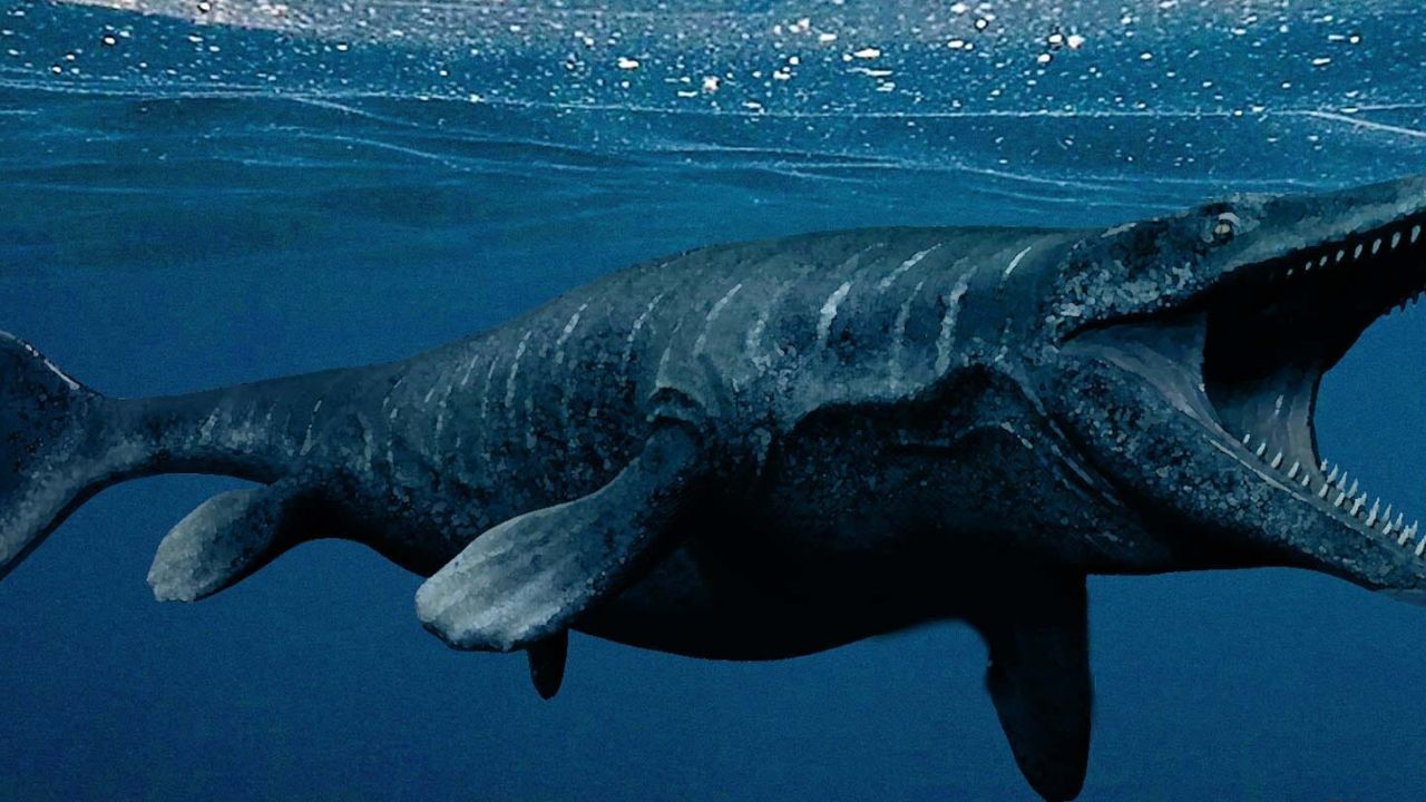 Globidans a terrifying monster that lived in the sea 85 million years ago shocked even scientists by the size of its bones