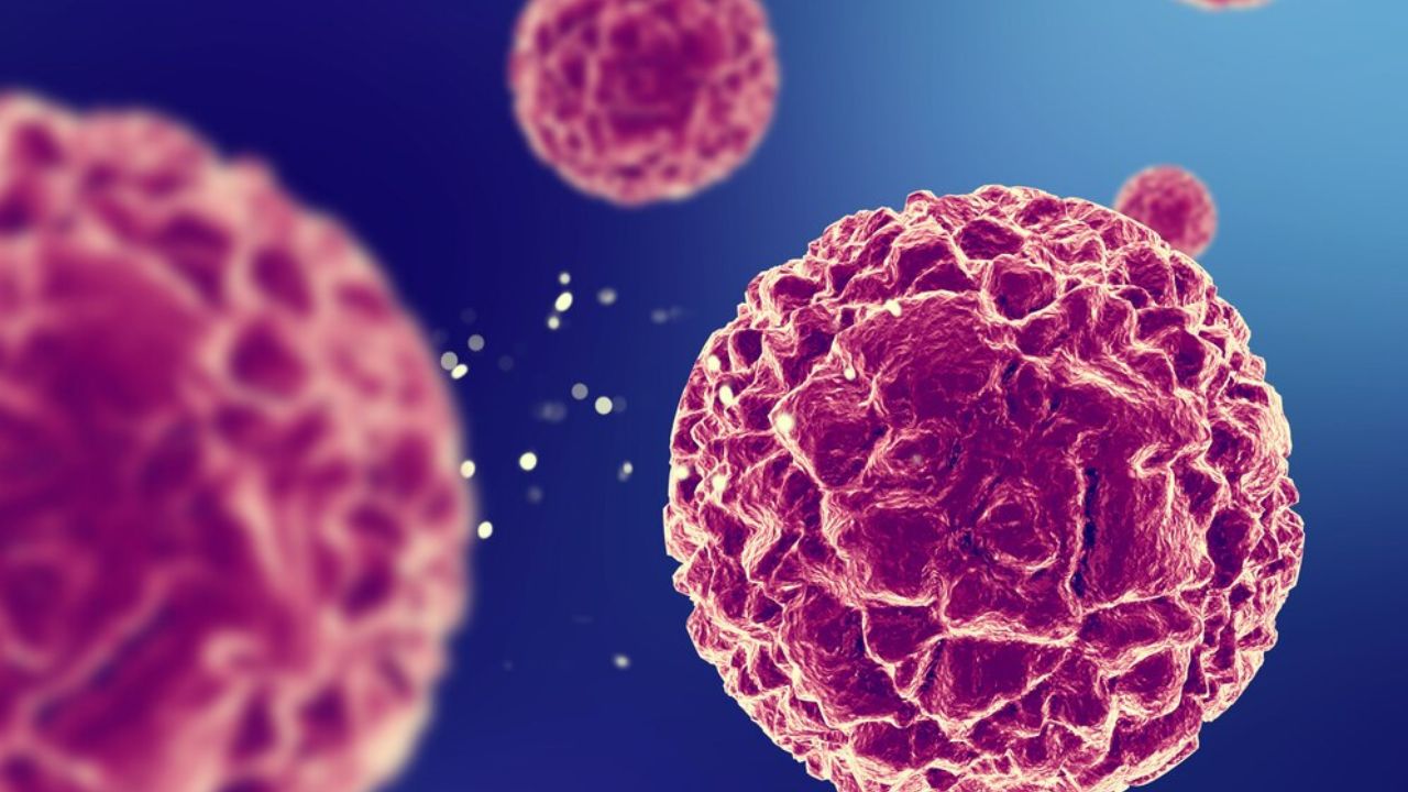 A prophecy made 100 years ago came true Scientists have discovered a new type of cell