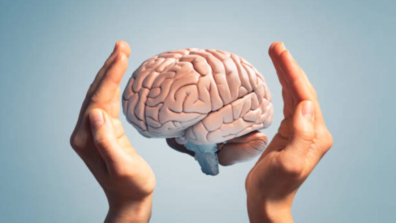 या फुड्समुळे मेंदू होईल अधिक तल्लख (फोटो सौजन्य: iStock)