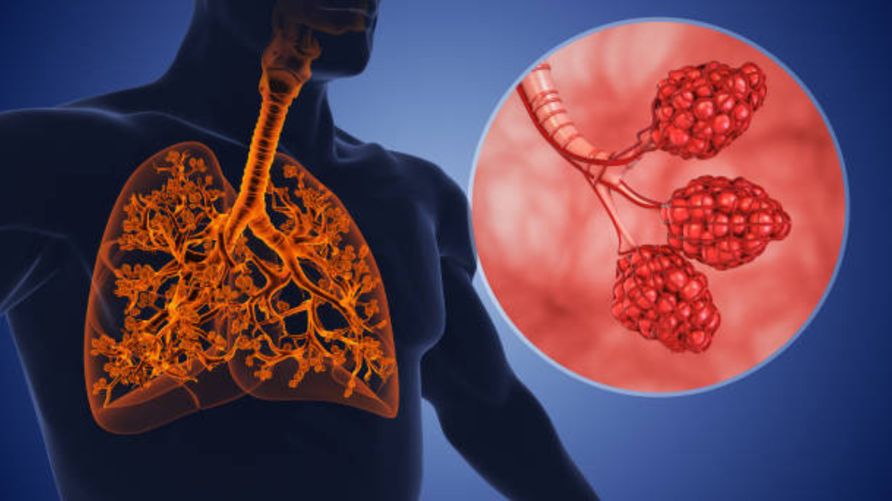 5 सेकंदात Lungs Cancer ची पटणार ओळख, घरीच करा तपासणी; हाताची बोटं सांगतील लक्षणं