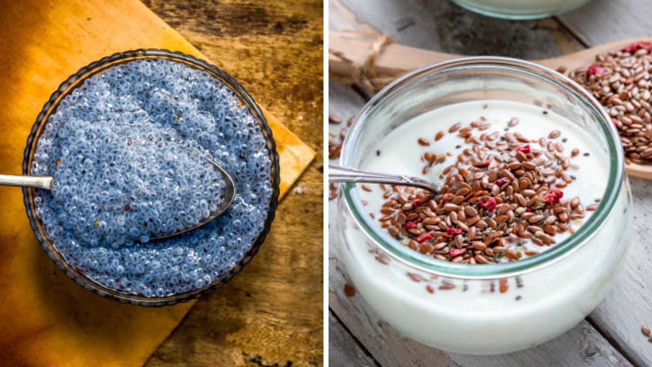 शरीर निरोगी ठेवण्यासाठी नियमित करा ‘या’ भिजवलेल्या बियांचे सेवन, शरीराला होतील फायदे