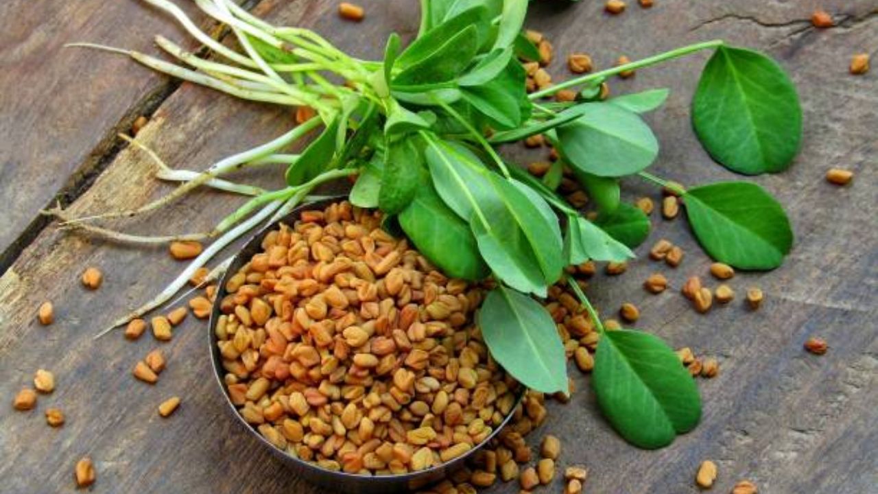 हृदयाचे आरोग्य सुधारण्यासाठी मेथी दाणे अतिशय गुणकारी आहेत. शरीरात वाढलेली कोलेस्ट्रॉलची पातळी कमी करण्यासाठी नियमित मेथी दाणे खावेत. 