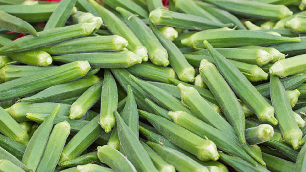 शरीरातील खराब कोलेस्ट्रॉल काढून टाकण्यासाठी या पदार्थांचे करा सेवन