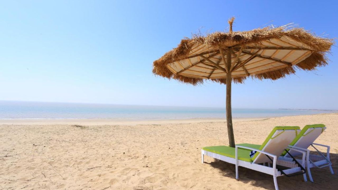 गुजरातची 'ही' 5 सुंदर पर्यटन स्थळे जी प्रत्येकाची मनं जिंकतात; जाणून घ्या कोणती ते ( फोटो सौजन्य : सोशल मीडिया)