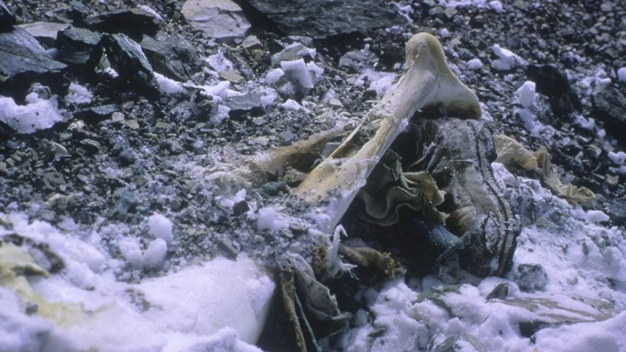British climber lost on Everest 100 years ago Everyone was shocked to find 'such' related to him