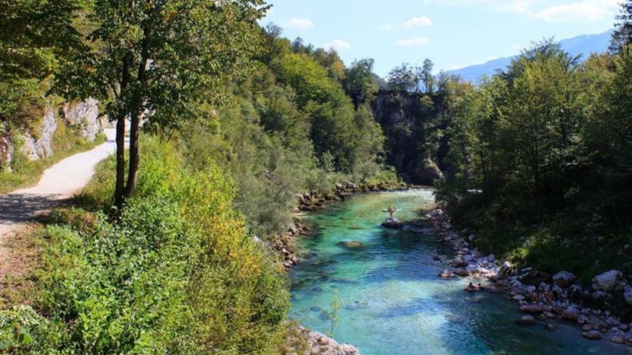 आर्वरी, देशातील सर्वात लहान नदी, राजस्थानमधील अलवर जिल्ह्यातील थंगाजी येथे साक्रा धरणाजवळ उगम पावते. नदीचे दोन उगम बिंदू आहेत, एक भैरुदेव सार्वजनिक वन्यजीव अभयारण्याजवळ आणि दुसरा अमका आणि जोधुला जवळ. हे दोन्ही प्रवाह पलसाणा डोंगरावर येऊन मिळतात आणि त्यानंतर आर्वरी नदी तयार होते.