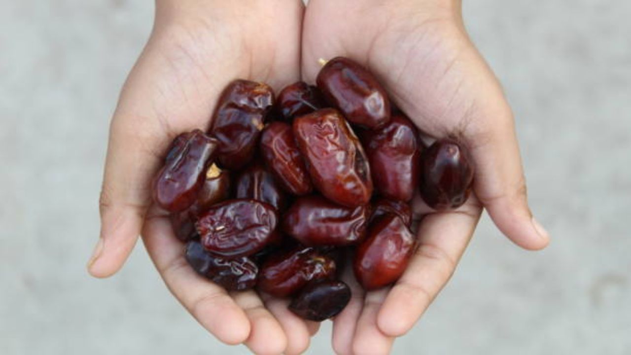 फेर्टीलिटीसाठी फायदेशीर: खजूर प्रजनन व्यवस्थेला प्रजननक्षमतेपासून ओव्हुलेशन, हार्मोनल संतुलन आणि प्रसूतीपर्यंत आधार देऊ शकतात. खजुराचे सेवन प्रजनन क्षमता आणि हार्मोनल समस्यांमध्ये मदत करू शकते.