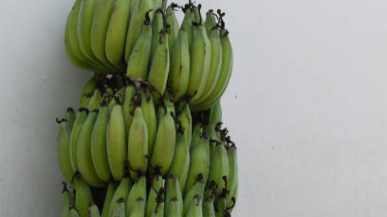 कच्च्या केळीत असलेला स्टार्च आणि फायबर्स रक्तातील साखरेची पातळी नियंत्रित करण्यात मदत करतात, त्यामुळे डायबिटीज असलेल्या लोकांसाठी ते फायदेशीर ठरते.