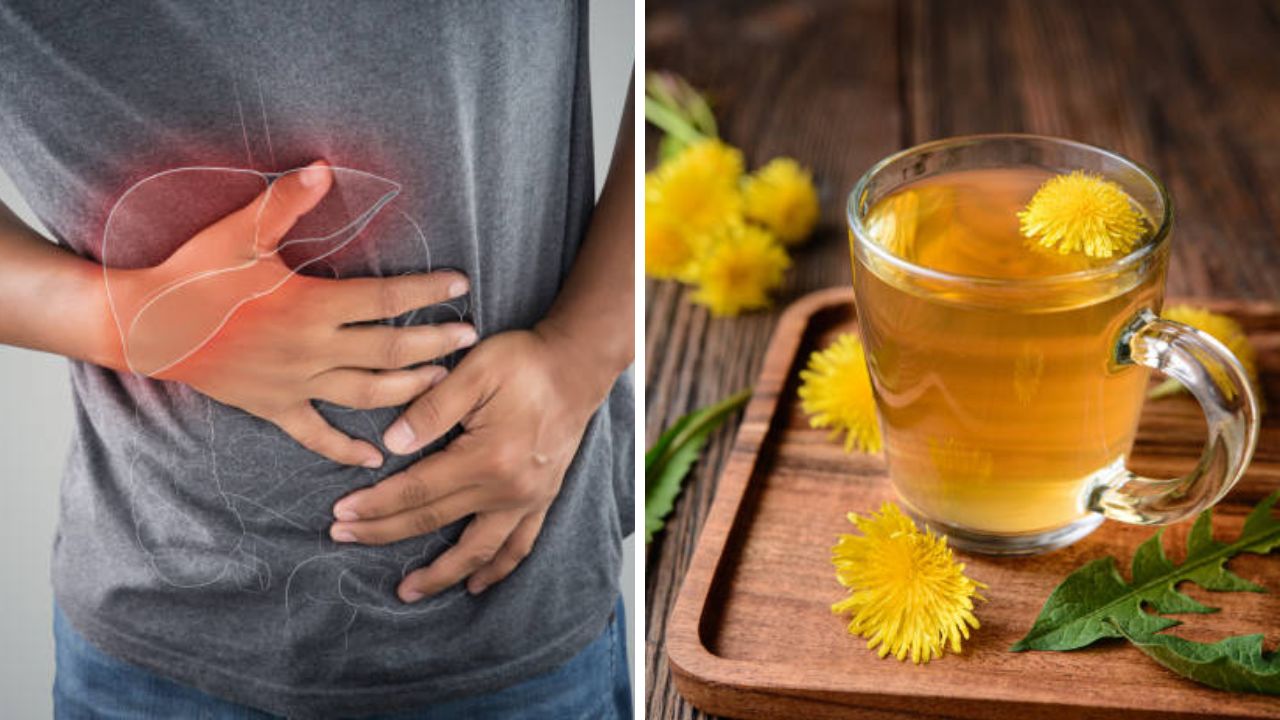 औषधी वनस्पतींचे फायदे