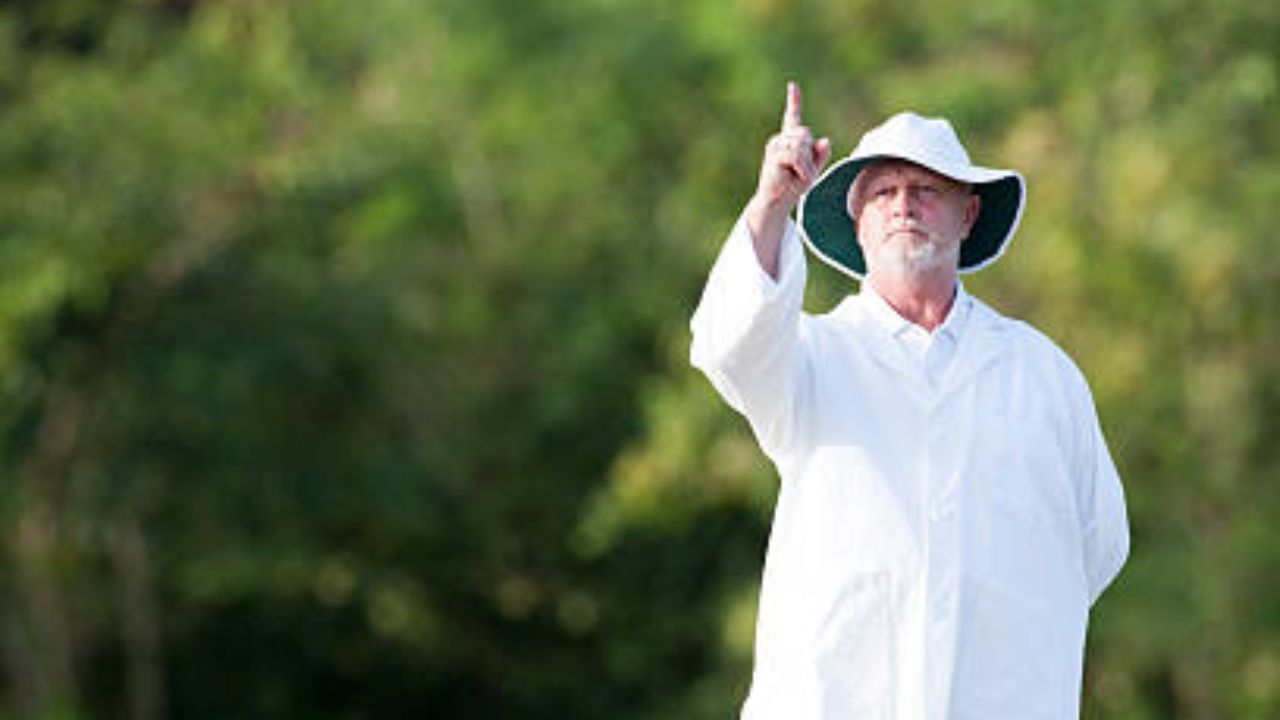 फोटो सौजन्य: iStock