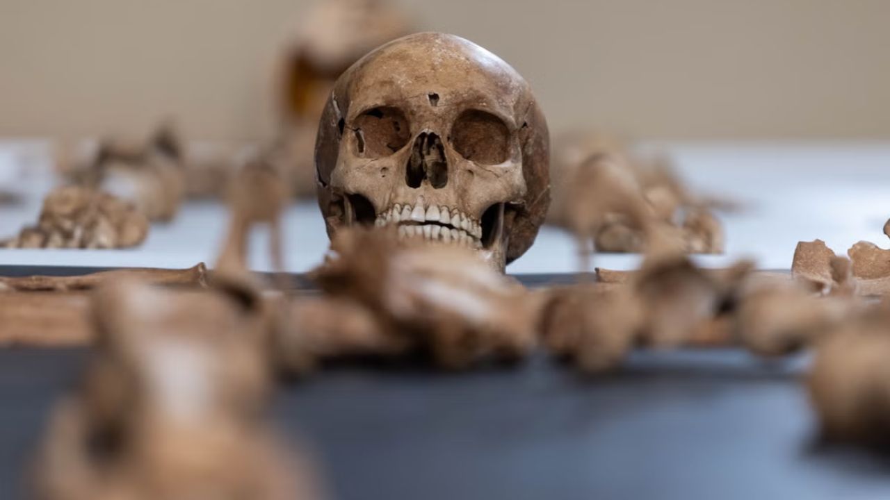 A sickle in the neck and a lock in the toe Woman buried as vampire remains found 400 years later