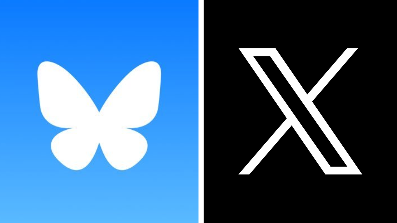 इलॉन मस्कला ट्रम्पचा पाठिंबा महागात पडतोय! काय आहे BlueSky ज्याकडे X युजर्स होत आहेत शिफ्ट