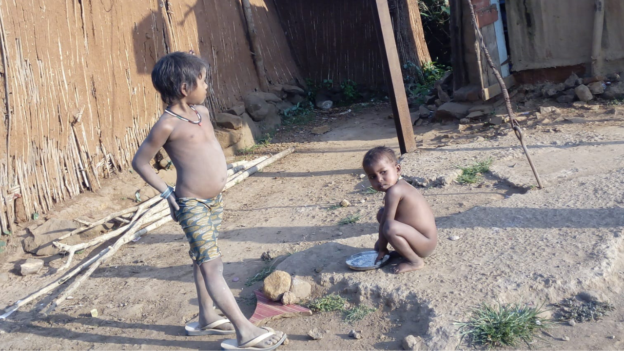 Due To The Laxity Of The System The Ash Monster Of Migration Is At The Root Of The Laborers