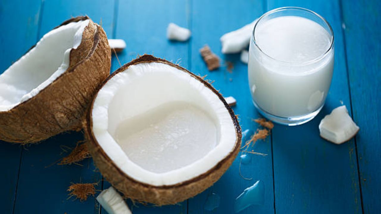 पचनक्रियेस मदत: हिवाळ्यात पचनक्रिया मंदावते, पण कोकोनट मिल्कमध्ये फायबर आणि आरोग्यदायी घटक असल्यामुळे पचनक्रिया सुधारते आणि पोटाचे आरोग्य चांगले राहते.