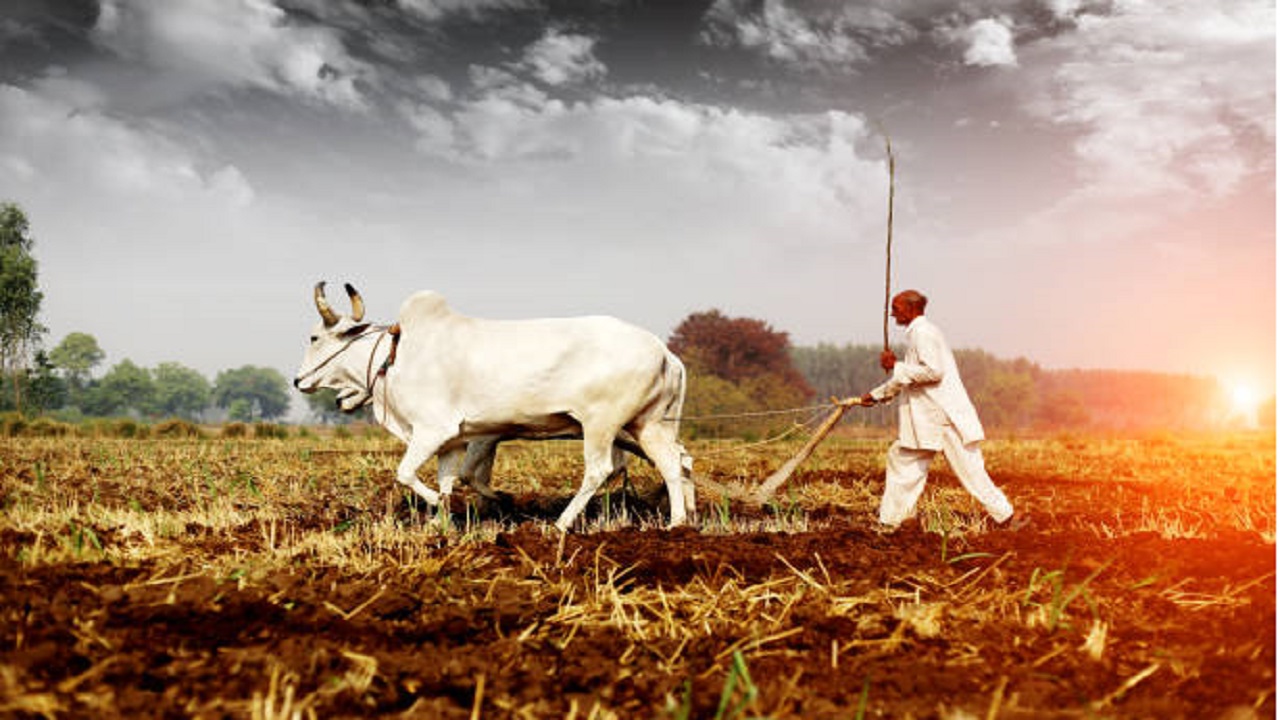 Now You Will Get Farmer Id All Records Will Be Digital Nrka