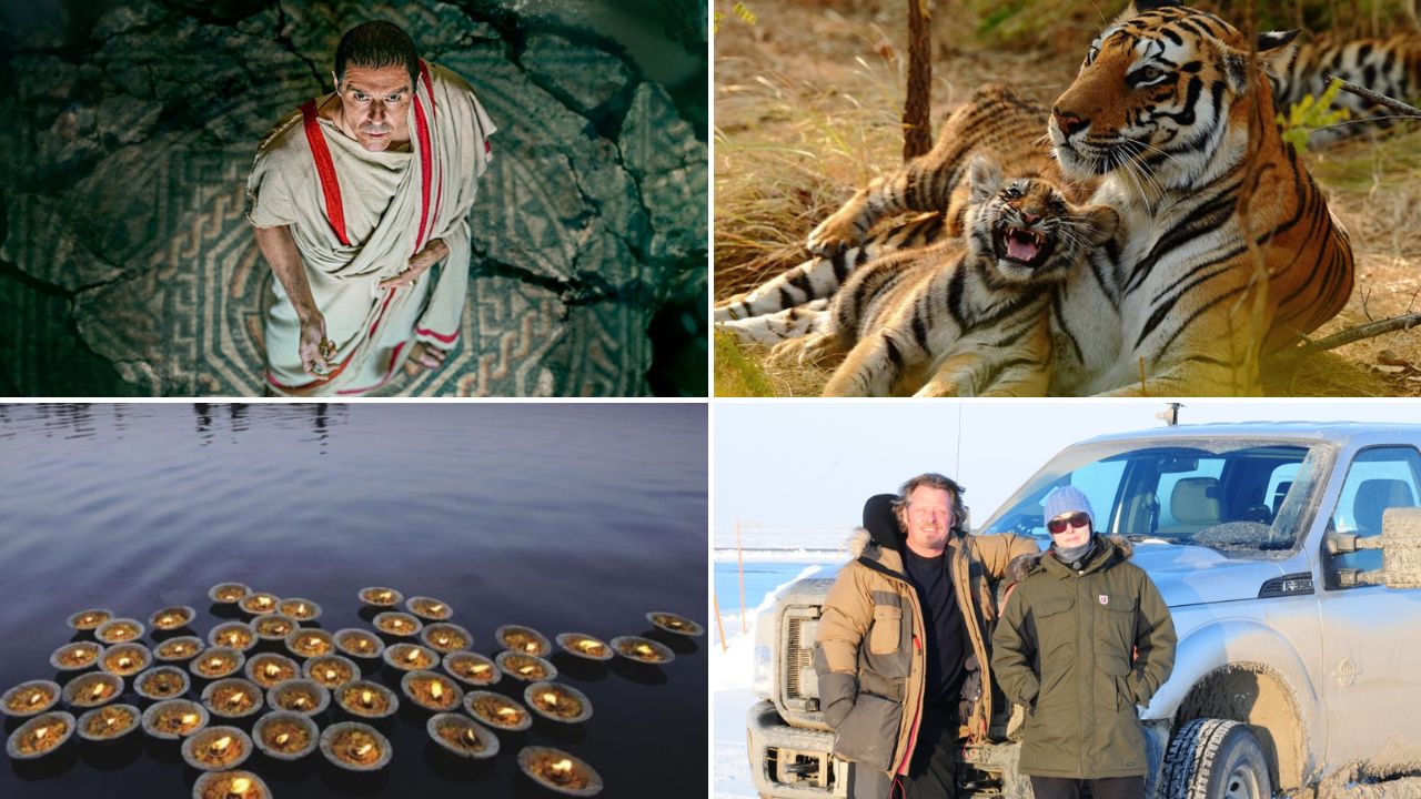 Watch Thriller Shows From Ancient Rome To Unknown Wildlife Only On Sony Bbc Earth