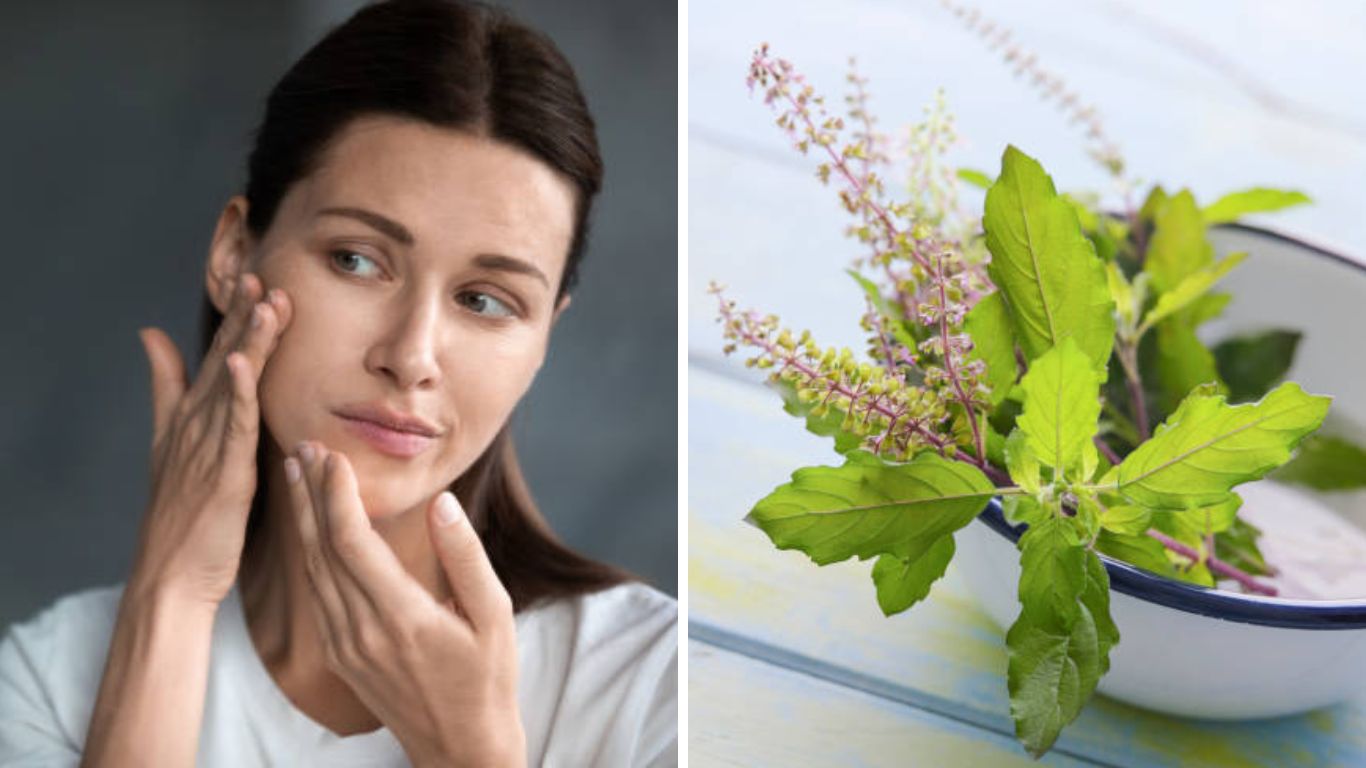 सुंदर आणि ग्लोइंग त्वचेसाठी 'या' पद्धतीने करा तुळशीच्या पानांचा वापर