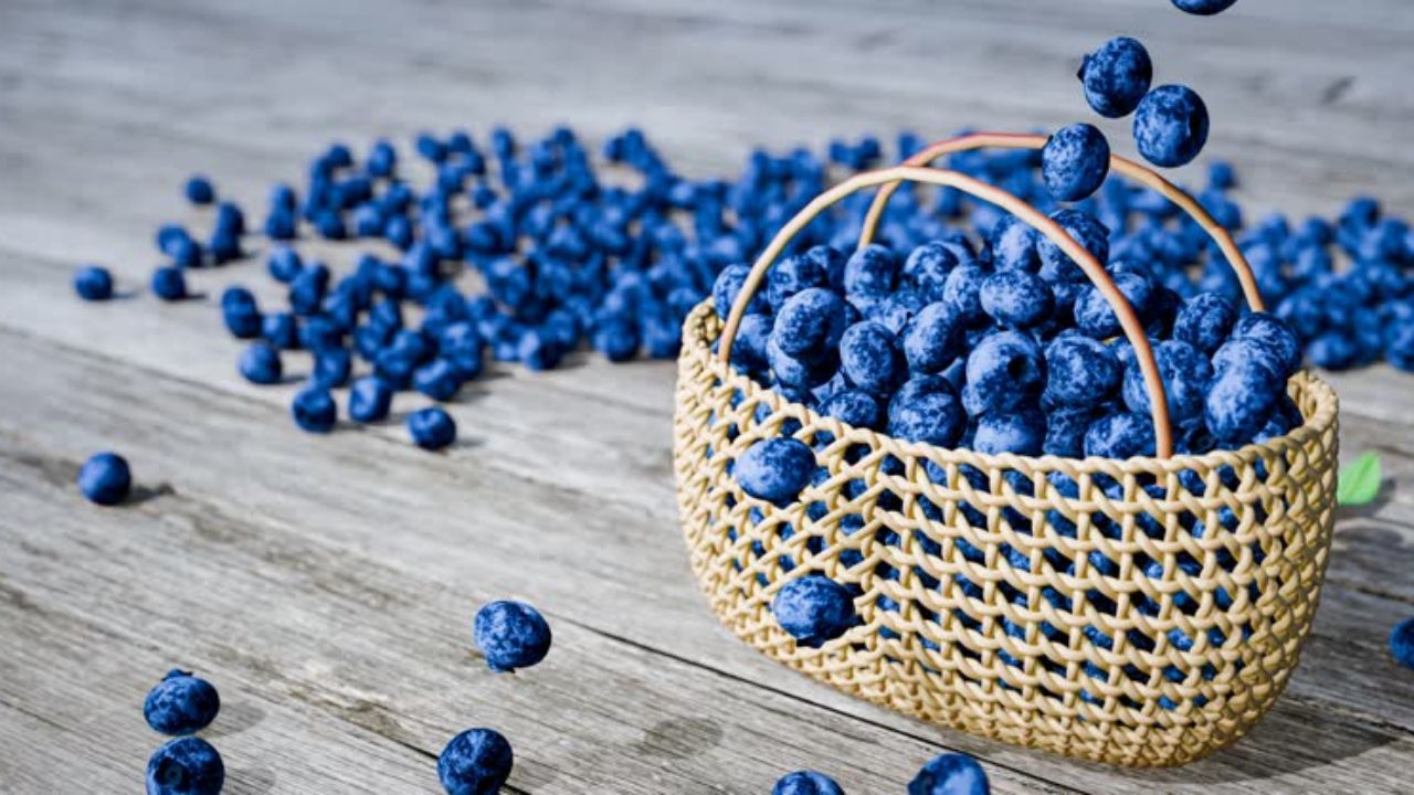 विटामिन सी युक्त ब्लूबेरीजचे सेवन केल्यामुळे त्वचेची गुणवत्ता सुधारण्यास मदत होते. शिवाय पिंपल्स, डाग, मुरुमांचे डाग निघून जाण्यास मदत होते. त्यामुळे आहारातब्लूबेरीजचा समावेश करावा. 